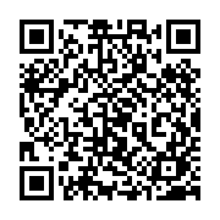 QR code for 313PEL
