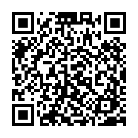 QR code for 313PFO
