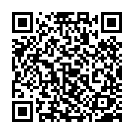 QR code for 313PNX