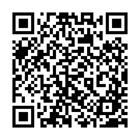 QR code for 313PTO