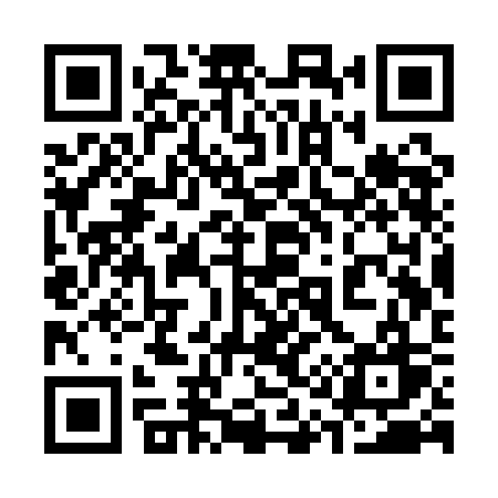 QR code for 313QCW