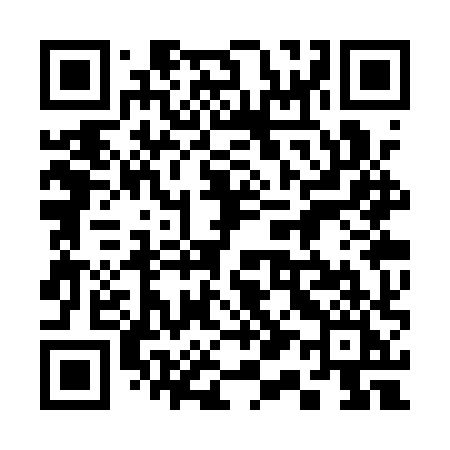 QR code for 313QXI