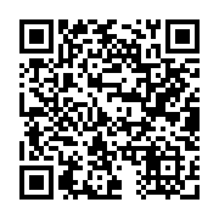 QR code for 313ROK
