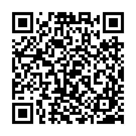 QR code for 313RTL