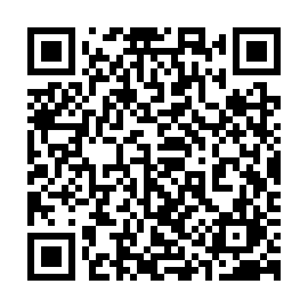 QR code for 313SRL