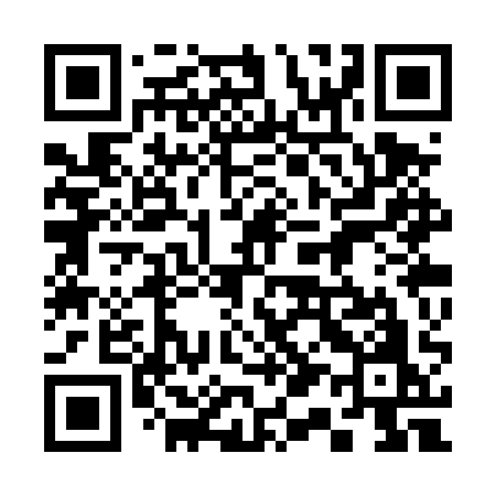 QR code for 313TQO