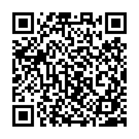 QR code for 313TUL