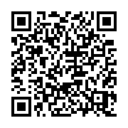 QR code for 313WTS
