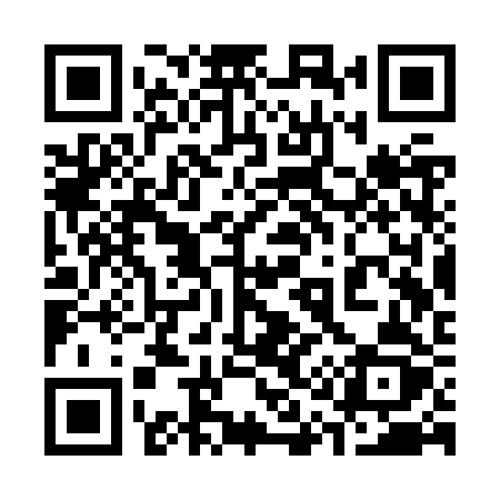 QR code for 313ZRZ
