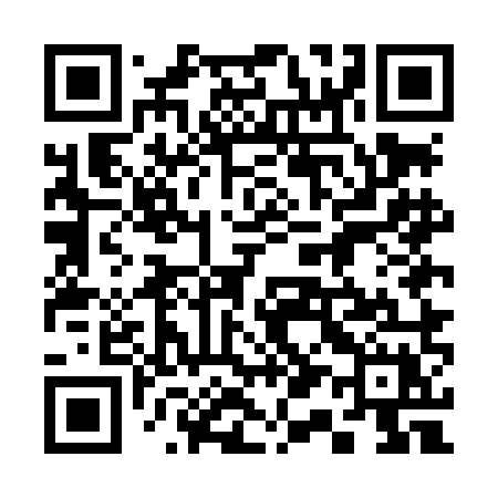 QR code for 315LMX
