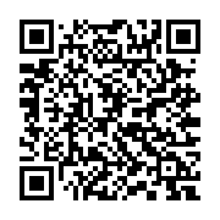 QR code for 315POD