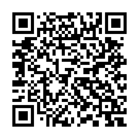 QR code for 317DSV