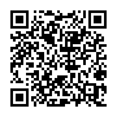 QR code for 317IMA