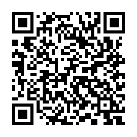 QR code for 317IZI