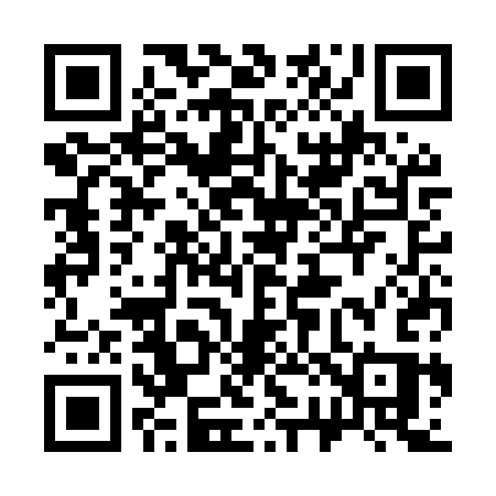 QR code for 323MSS
