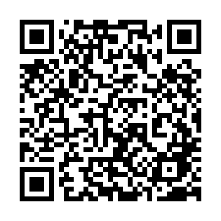 QR code for 333ALE