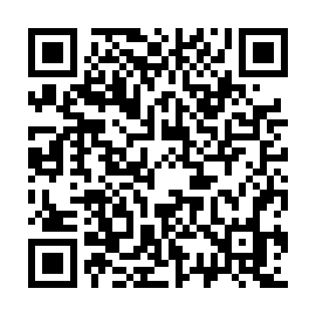 QR code for 333DFO