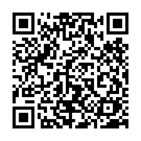 QR code for 333DGM