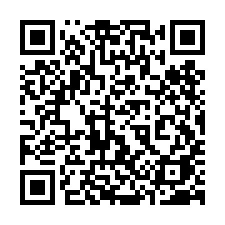 QR code for 333DIA