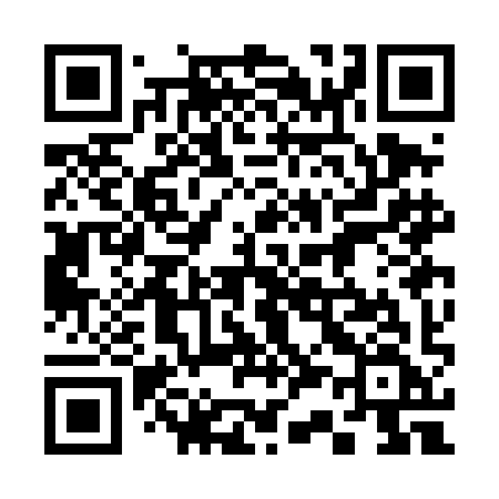 QR code for 333DIF