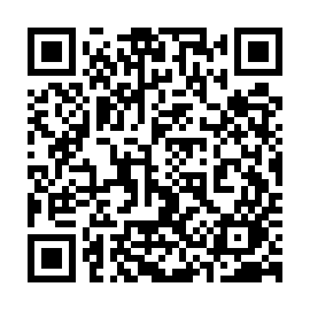 QR code for 333EUO