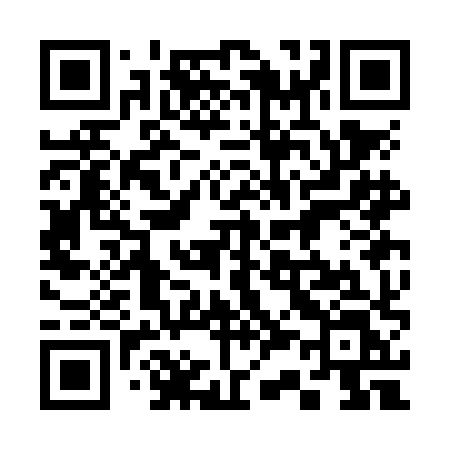 QR code for 333NHL