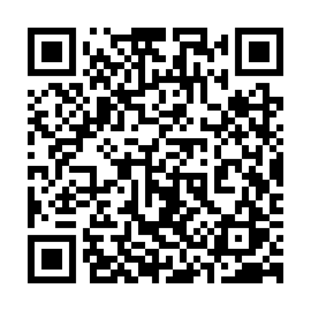 QR code for 333SRS