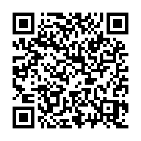 QR code for 333YCS