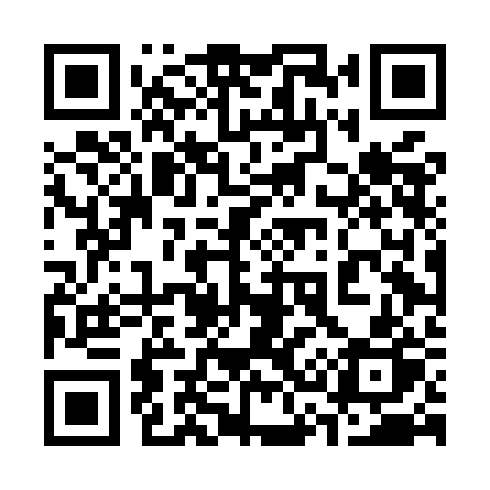 QR code for 334MBP