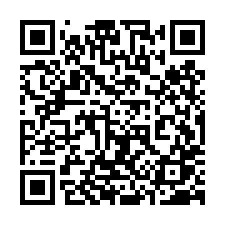 QR code for 335DXS