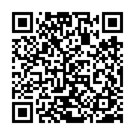 QR code for 335FZS