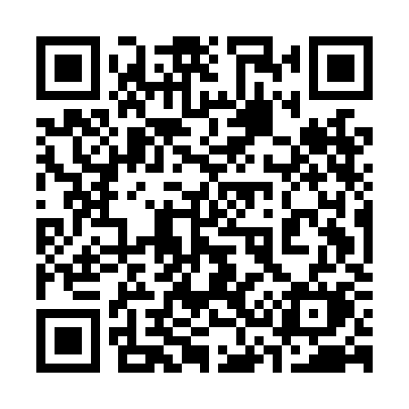 QR code for 335LKM