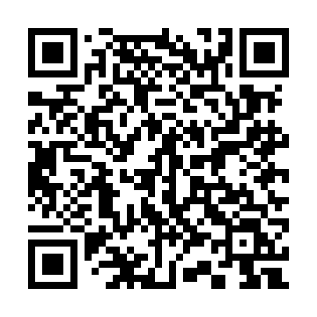 QR code for 335MFL