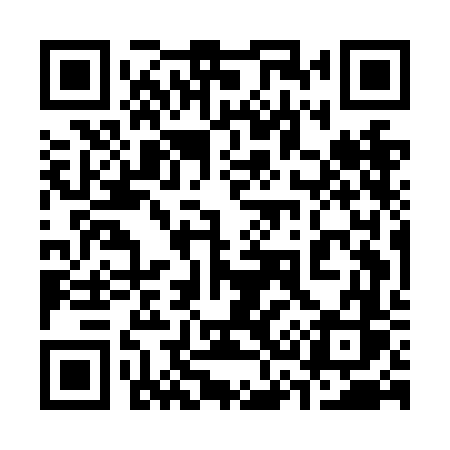 QR code for 335NFS