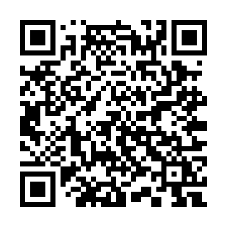 QR code for 335POY
