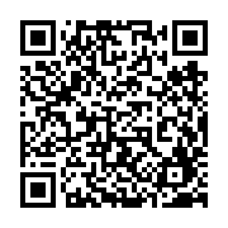 QR code for 335VYF
