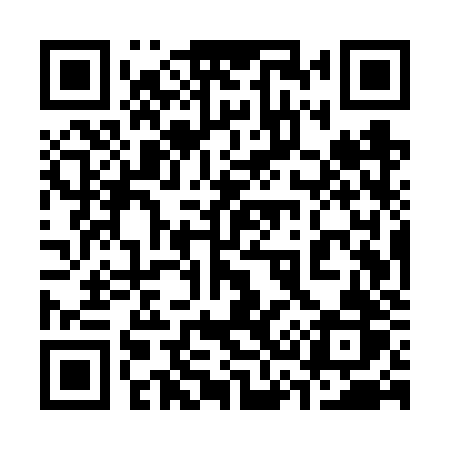 QR code for 335VZR