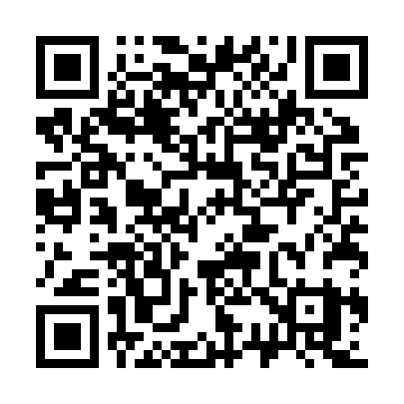 QR code for 335ZRY