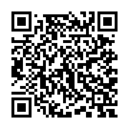QR code for 336DLV