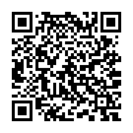 QR code for 336VOY