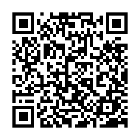 QR code for 336ZOL