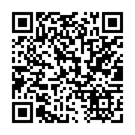 QR code for 336ZVO
