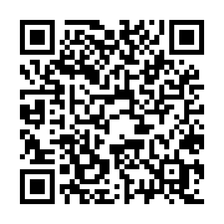 QR code for 337MLD