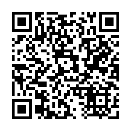 QR code for 338CHK