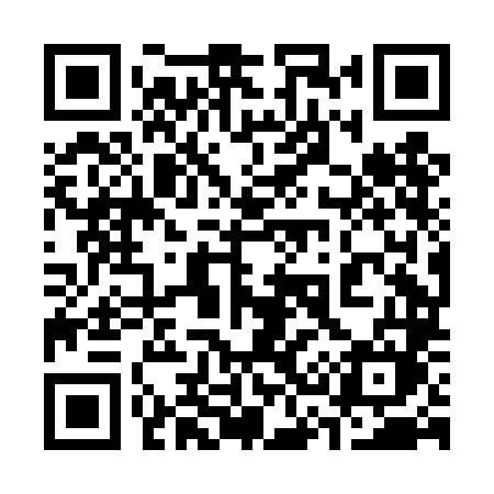 QR code for 338DLM