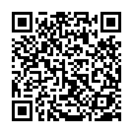 QR code for 338LOI