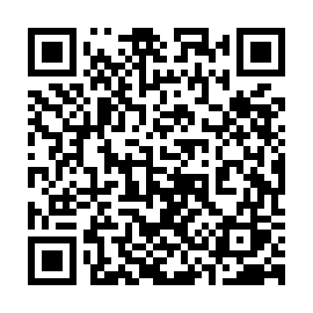 QR code for 338MGS