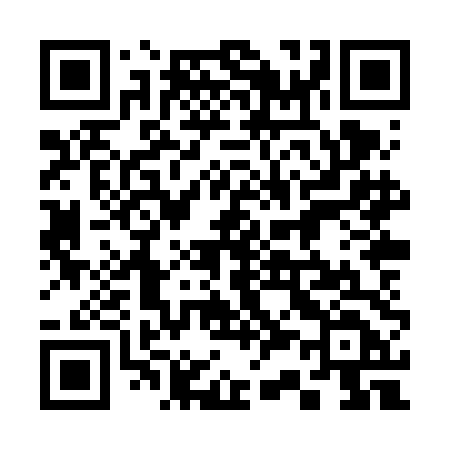 QR code for 338VDD
