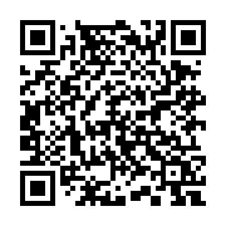 QR code for 339DOV