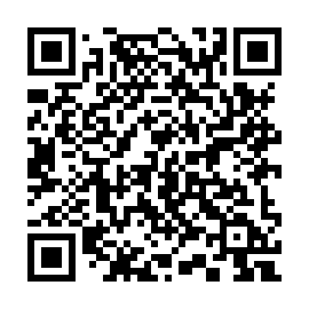 QR code for 339HYD